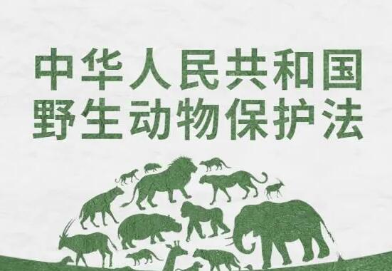 中华人民共和国野生动物保护法2022年修正全文